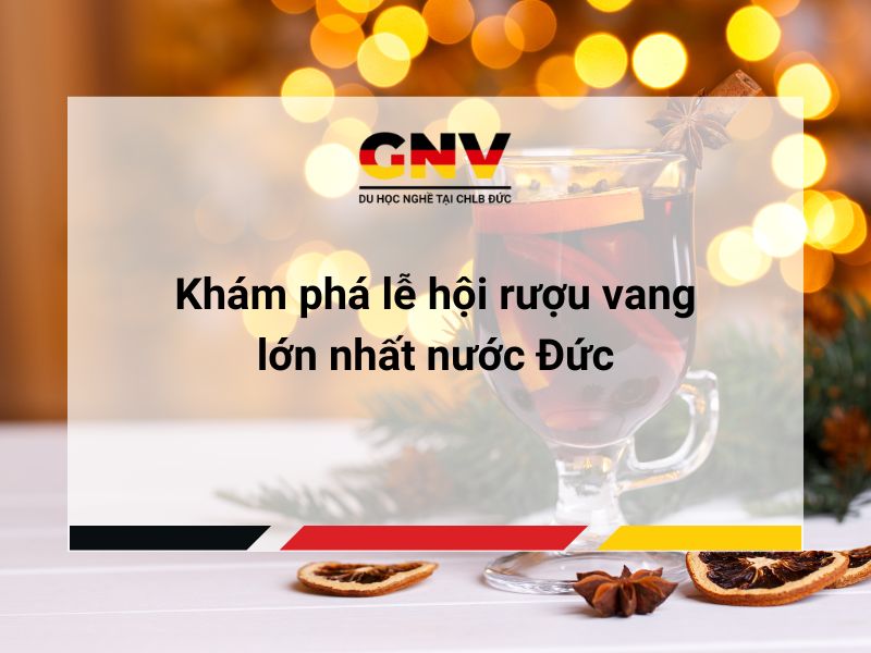 Khám phá lễ hội rượu vang lớn nhất nước Đức