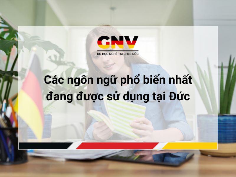 Các ngôn ngữ phổ biến nhất đang được sử dụng tại Đức
